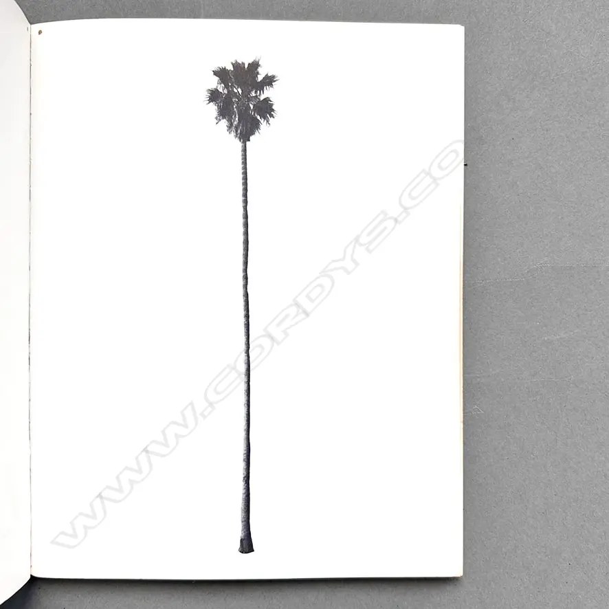 EDWARD RUSCHA: A FEW PALM TREES Image 1++